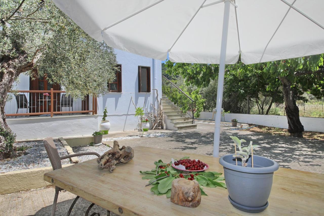 Skopelos Evergreen Apartments Στάφυλος Εξωτερικό φωτογραφία