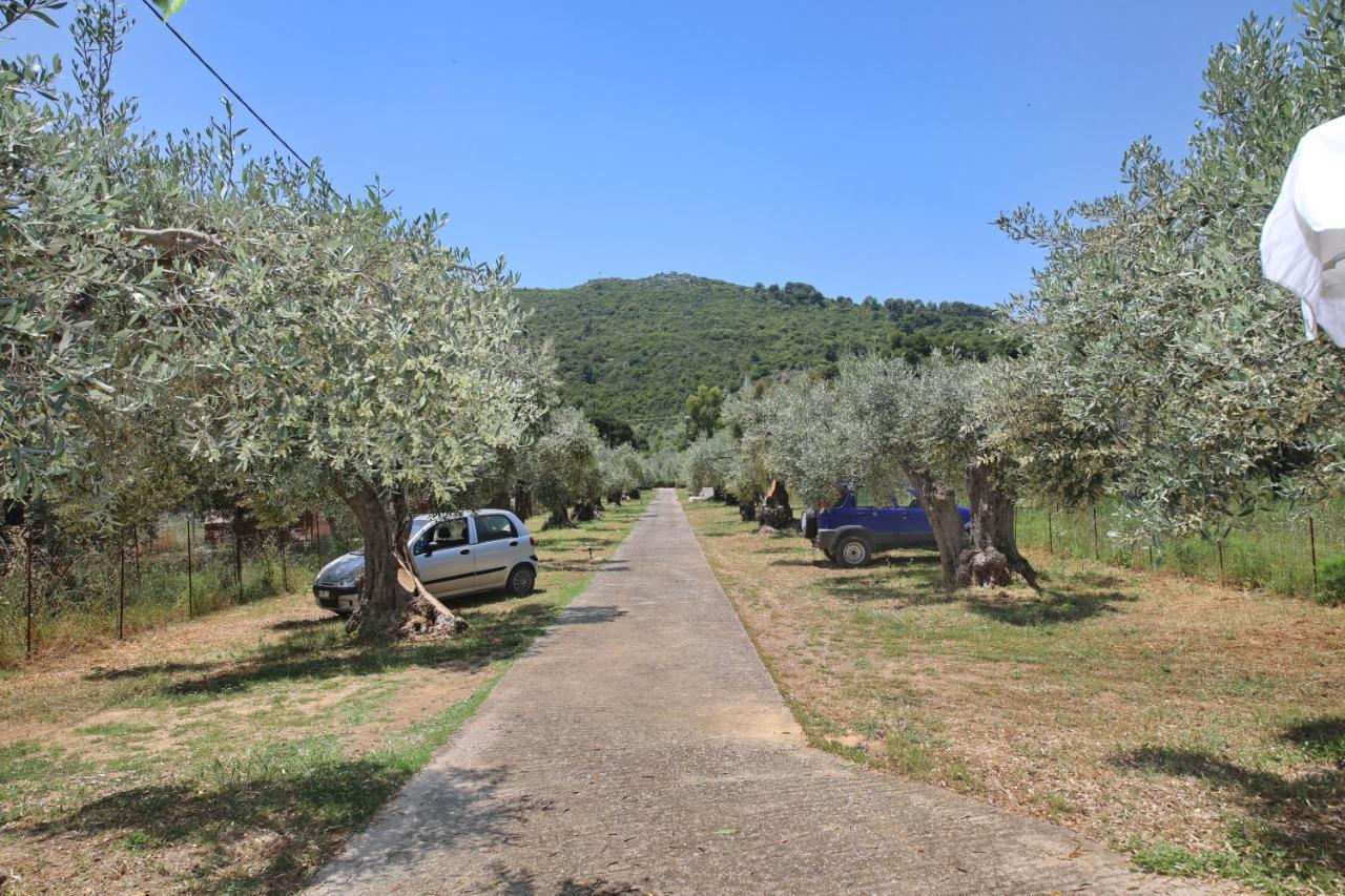 Skopelos Evergreen Apartments Στάφυλος Εξωτερικό φωτογραφία