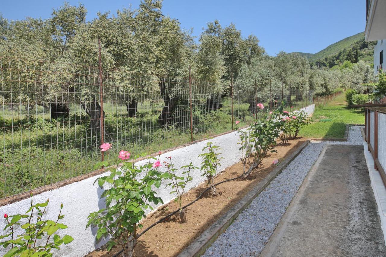 Skopelos Evergreen Apartments Στάφυλος Εξωτερικό φωτογραφία