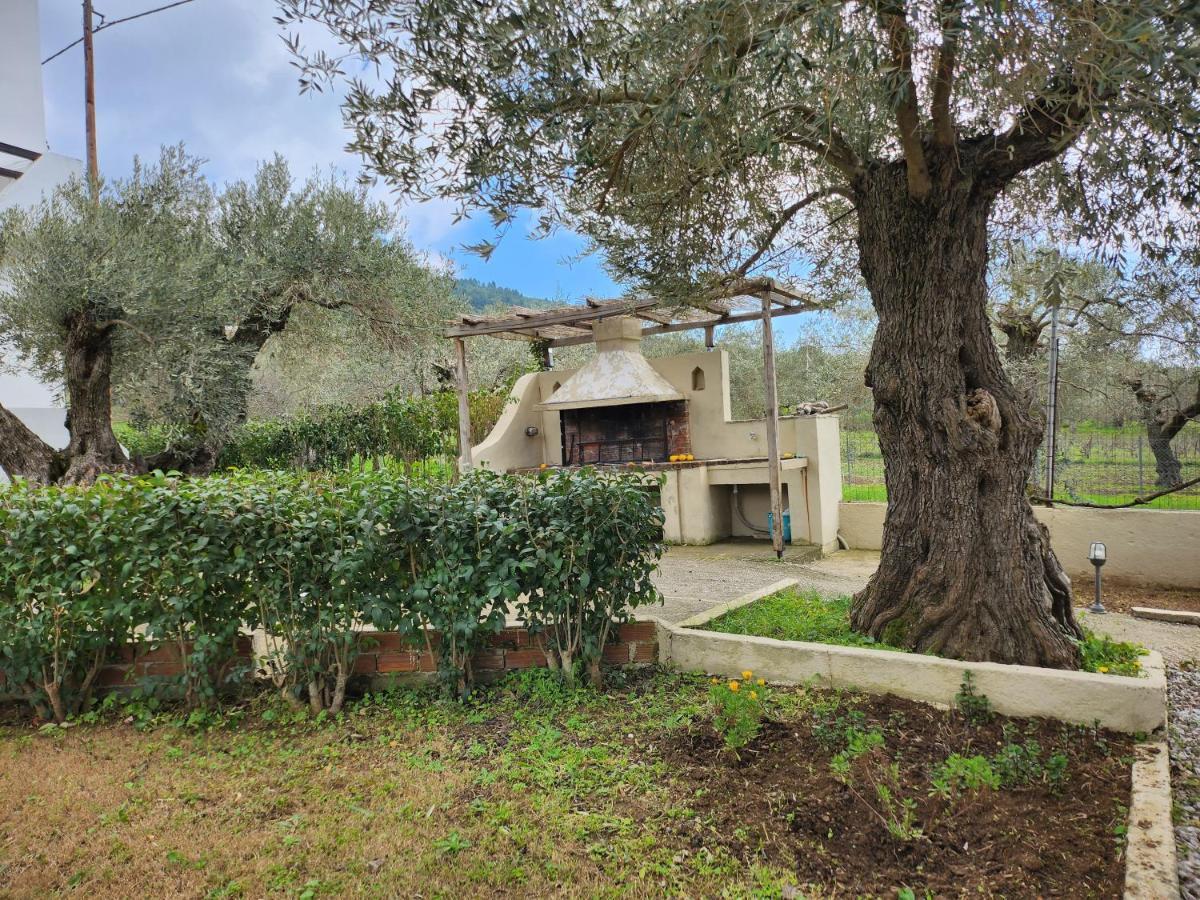 Skopelos Evergreen Apartments Στάφυλος Εξωτερικό φωτογραφία