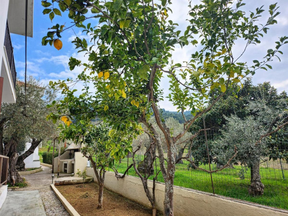 Skopelos Evergreen Apartments Στάφυλος Εξωτερικό φωτογραφία