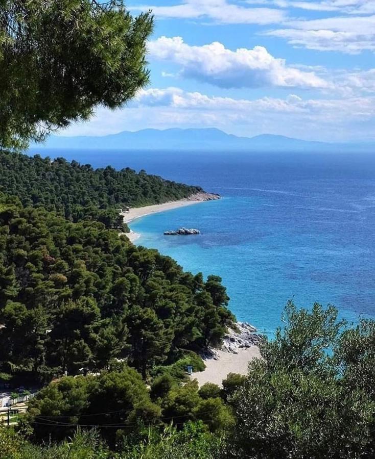 Skopelos Evergreen Apartments Στάφυλος Εξωτερικό φωτογραφία